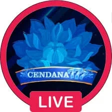 cendana777 Terbaru untuk Android: Download APK Gratis APK Resmi — ikon aplikasi